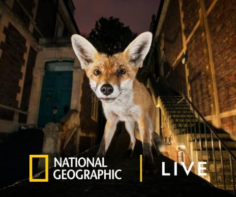 National Geographic Image